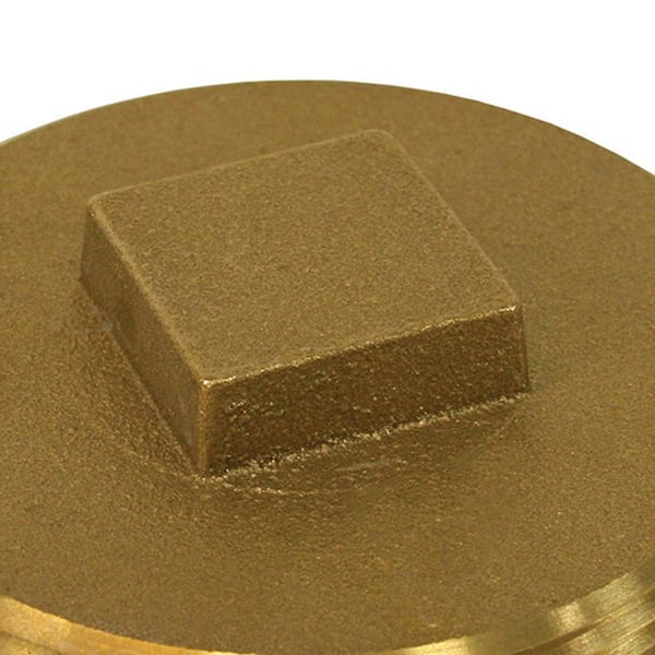 JONES STEPHENS - 8 in. Brass Raised Head Cleanout Plug 8-1/2 in. O.D. for DWV