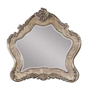 Ragenardus 48 in. x 3 in. Classic Novelty Framed Vintage Oak Decorative Mirror