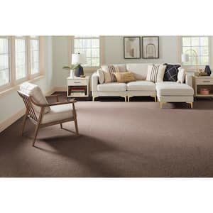 Cleoford Chocolate Brown 47 oz. Triexta Texture Installed Carpet