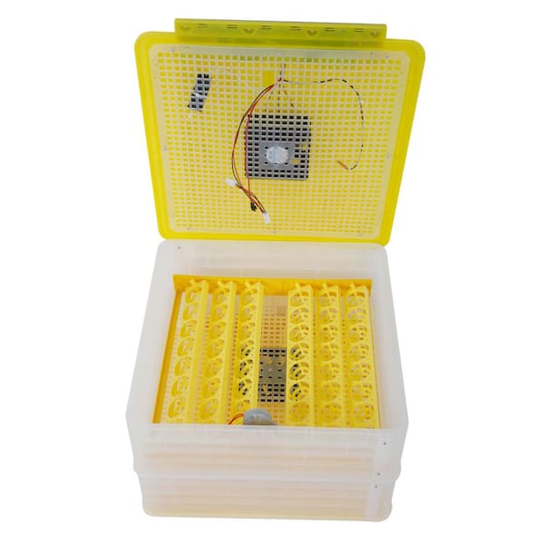 Unbranded 96-Egg Practical Fully Automatic Poultry Incubator (110V) US Standard Yellow & Transparent