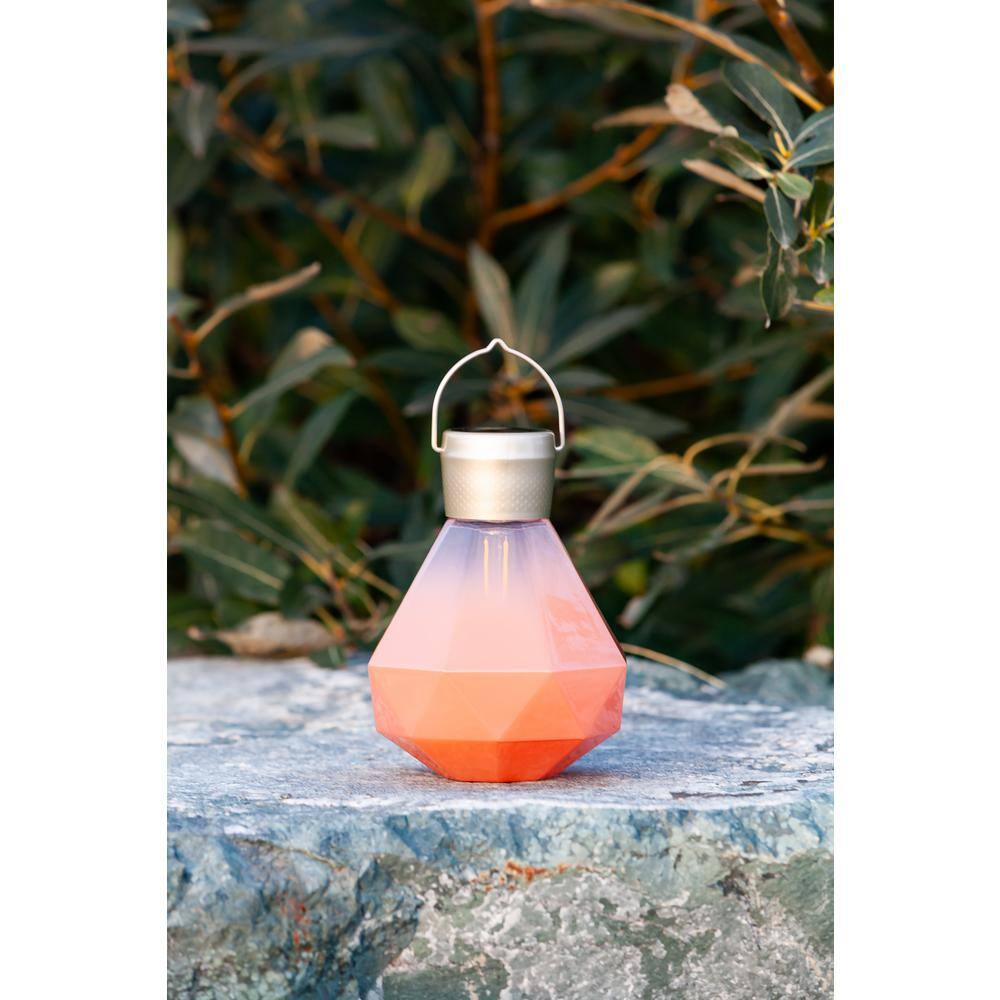 Bahama Coral Solar Powered Outdoor Hanging Light with Edison Bulb