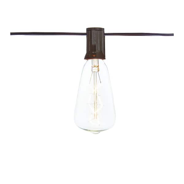 Outdoor/Indoor 10 ft. Light Line Voltage 10-Head ST40 Vintage Bulb Incandescent String Light (2-Pack)