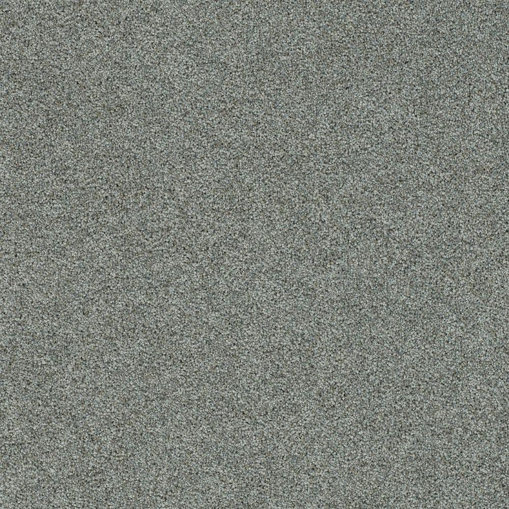 8 in. x 8 in. Texture Carpet Sample-Cinderella Soft I-Color Velvet price history on PriceWatchPro