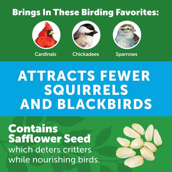 Premium 7 lb. Safflower Bird Seed Food