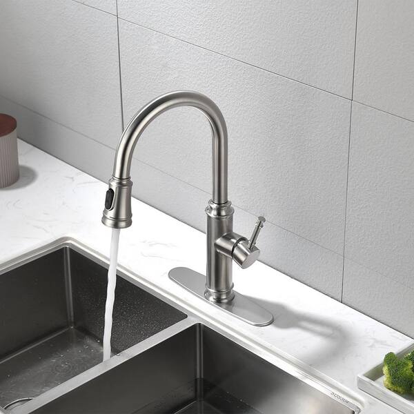 43 brushed nickel kitchen faucet with sprayer