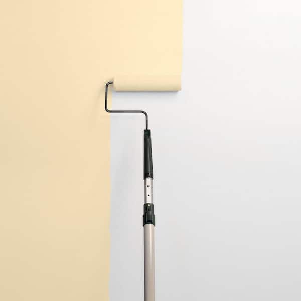 Limitless PPG1091-3 Paint