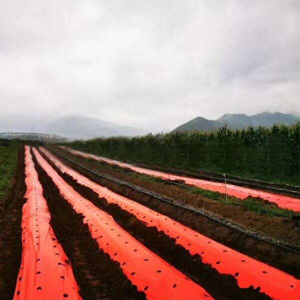 Agfabric 4 ft. x 150 ft. Size 1.2 Mil Pink Mulch Garden Plastic Film