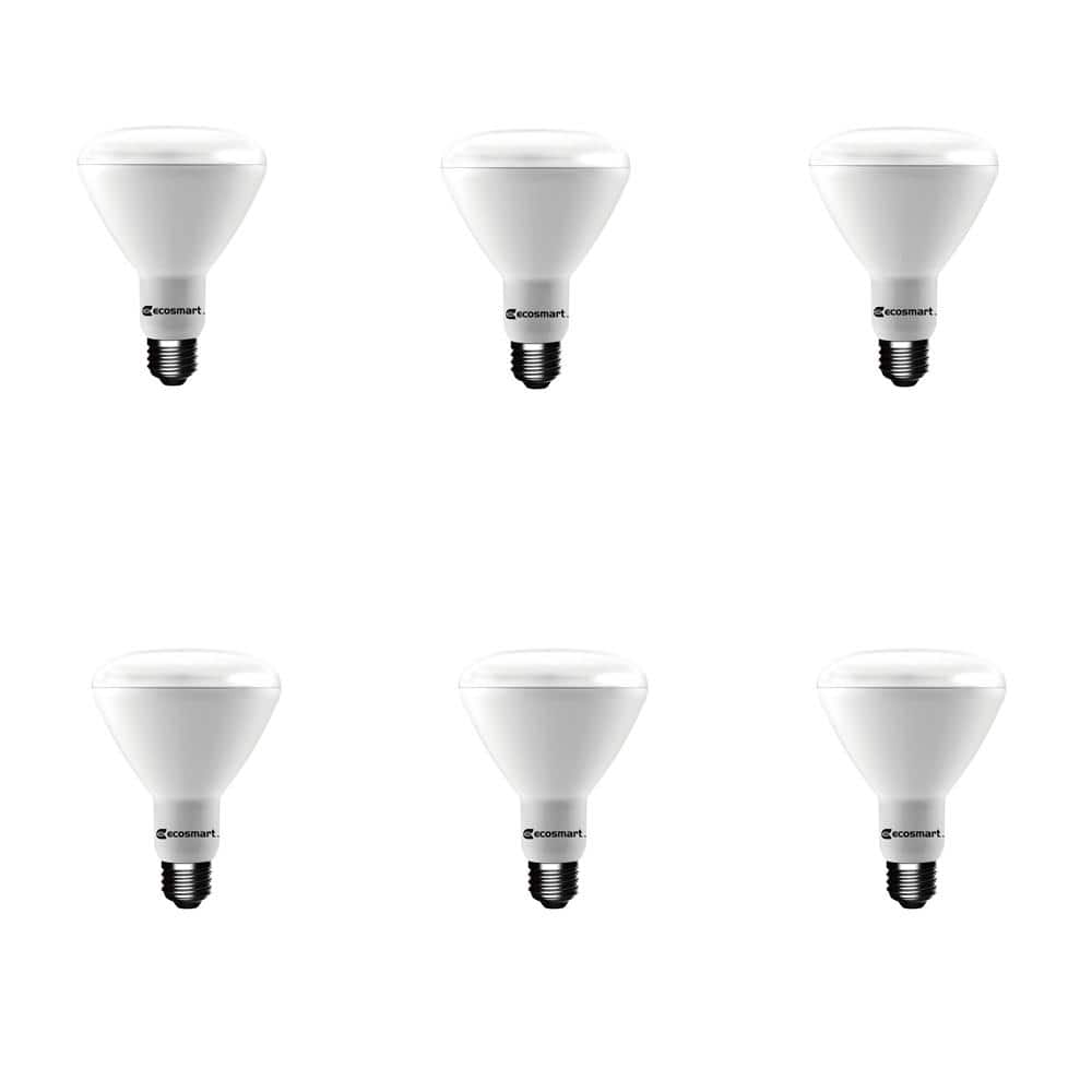 EcoSmart 65Watt Equivalent BR30 Dimmable Energy Star LED Light Bulb