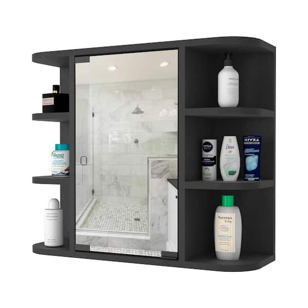 Miscool Anky 23.62 in. W x 19.68 in. H Rectangular MDF Medicine Cabinet with Mirror in Black