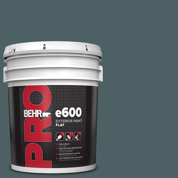 BEHR PRO 5 gal. #PPU12-20 Underwater Flat Exterior Paint