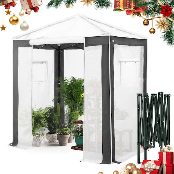 6 ft. x 4 ft. Foldable Greenhouse Canopy, White/Gray