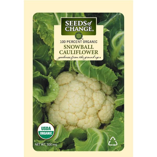 500 mg Snowball Cauliflower Seeds