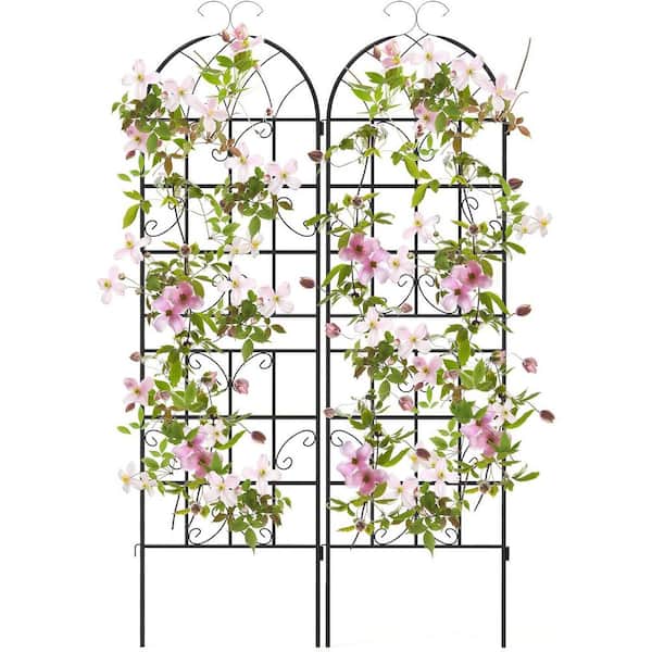 ATENGNES 71 in. x 19.7 in. Large Heavy-Duty Black Rustproof Garden Plant Trellis for Climbing Rose Vegetable (2-Pack)