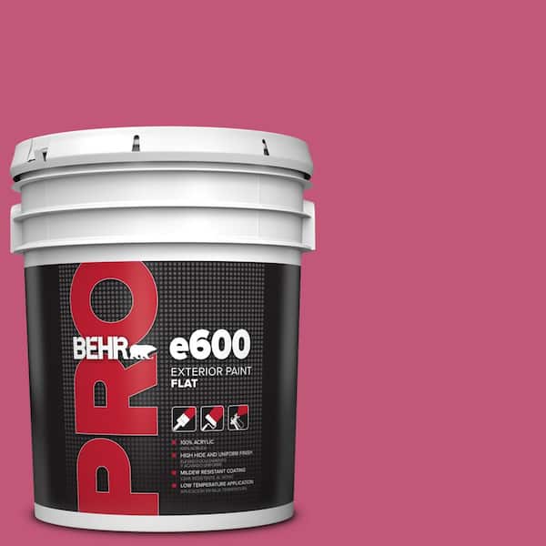 BEHR PRO 5 gal. #T16-02 Pagoda Flat Exterior Paint