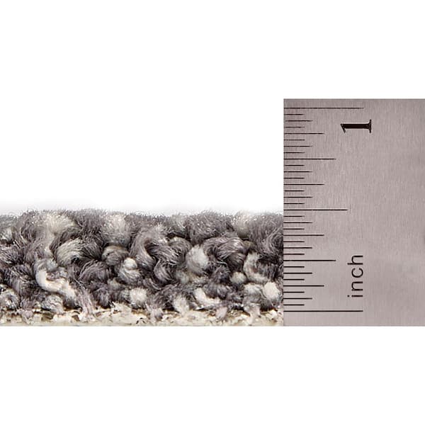 Lifeproof with Petproof Technology Painted Picture - Jasper-Gray