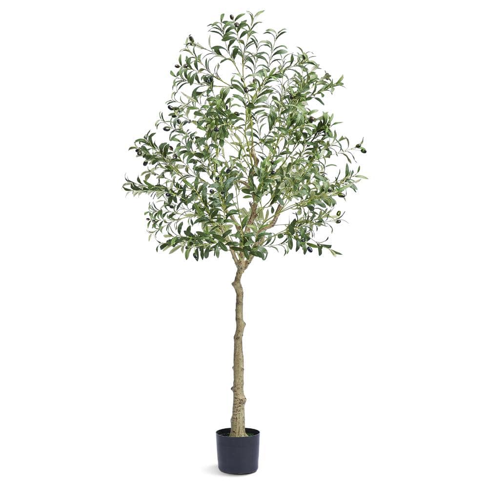 6 ft. Artificial Olive Tree Plant Secure PE Material & Anti-Tip Tilt Protection for Home Office Decor Indoor Outdoor price history on PriceWatchPro
