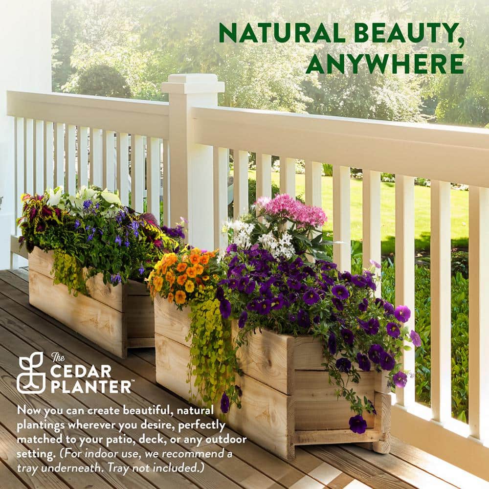 Extra Large Off-White Cedar Wood Outdoor Planter Box