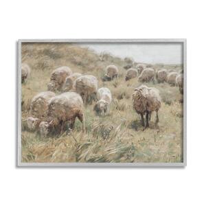 Rural Cattle Grazing Field Design By Lettered and Lined Framed Nature Art Print 20 in. x 16 in.