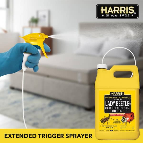 https://images.thdstatic.com/productImages/a723c623-f2eb-4aa0-bd61-f4178a55392a/svn/harris-bug-killer-spray-hbxa-128-76_600.jpg