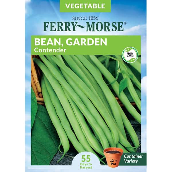Ferry-Morse Bean Contender Fruit Seed