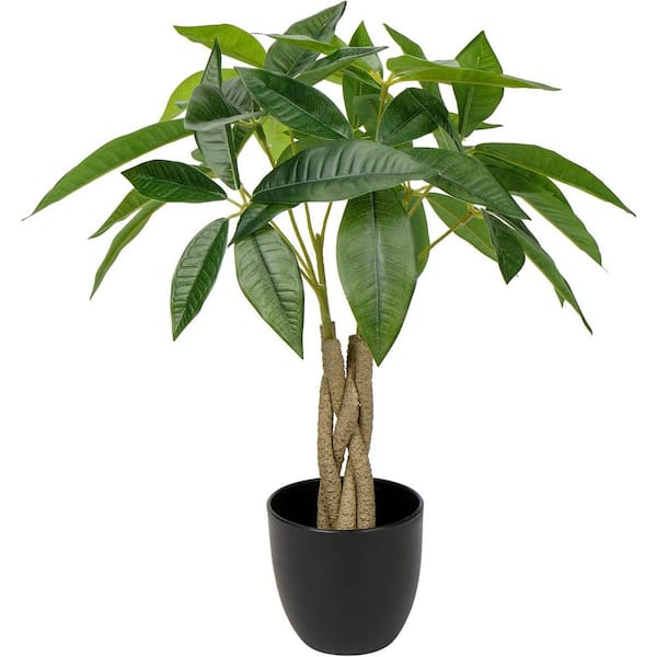 Unbranded Indoor 1.33 ft. Artificial Money Tree in Black Pot Faux Pachira  Tree for Home Office Decor Good Luck Plant 59C1124D2157