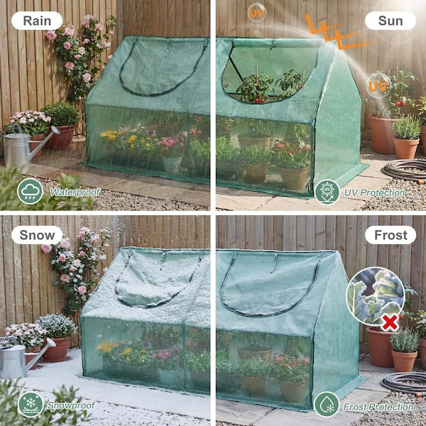 Aoodor 4 ft. W x 2 ft. D x 2 ft. H Portable Mini Greenhouse Kit