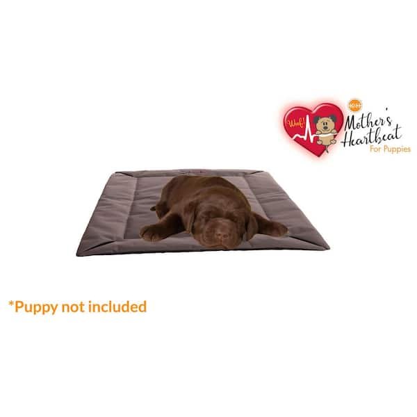 Sussexhome Purple Waterproof Dog Pillow for Medium Dogs - Tear-resistant Washable Dog Bed