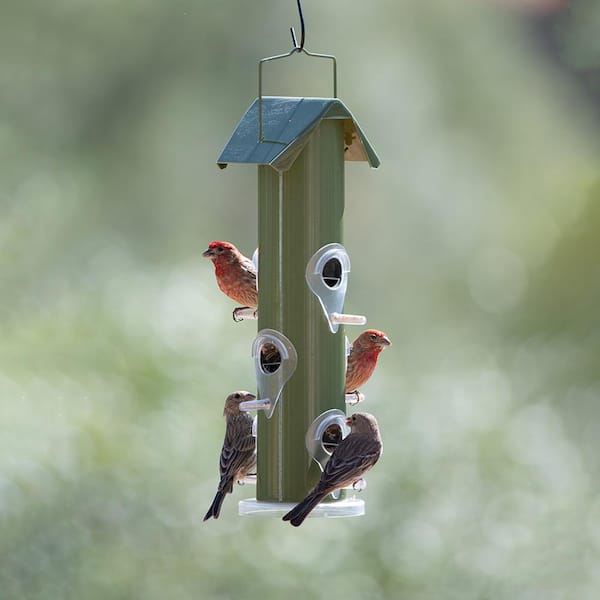 Perky-Pet Green Metal Tube Wild Bird Feeder - 1 lb. Capacity 391A