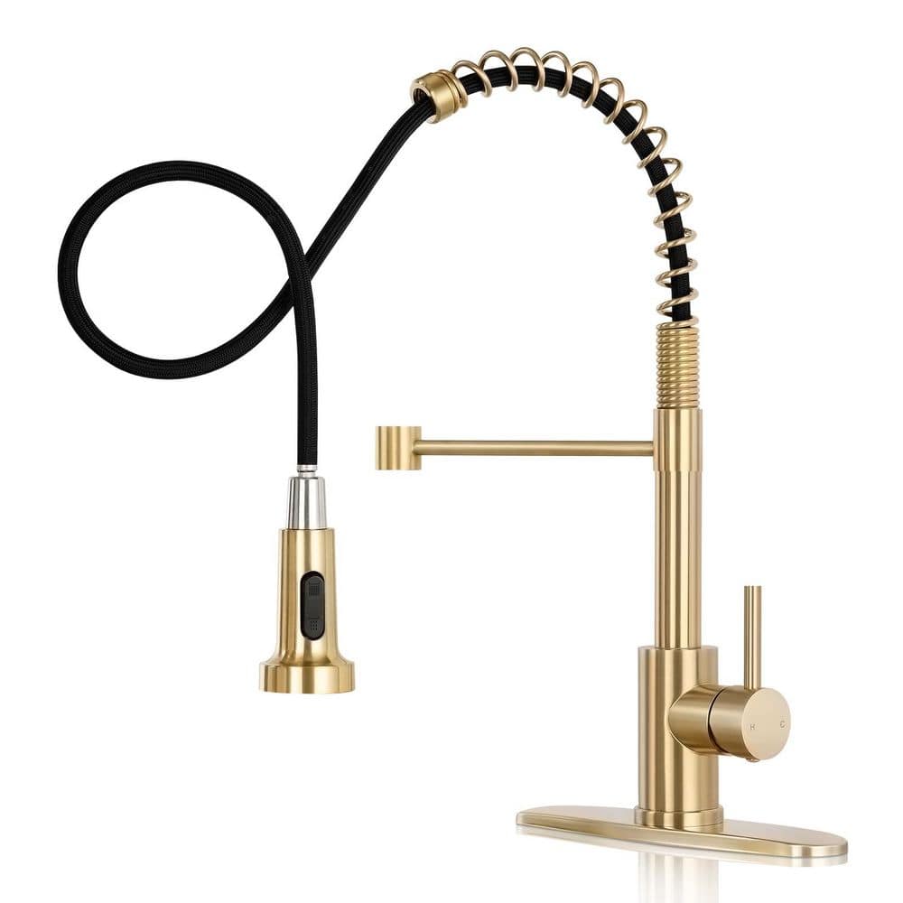 Brushed Gold 17.5 in. H Pull Down Sprayer Kitchen Faucet with 360 ° Spout Swivel price history on PriceWatchPro
