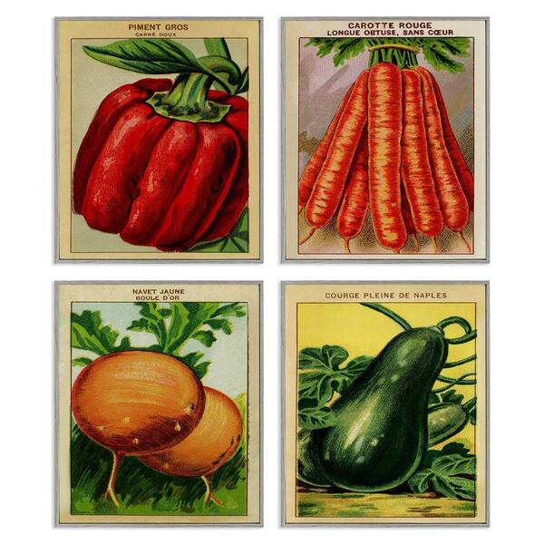 Rustic Garden Vegetables by Lil' Rue 4 Piece Gray Framed Food Giclee Art Print 20 in. x 16 in.