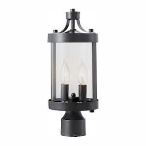 Glastonbury Caged 2-Light Aged Iron Outdoor Lamp Post Light Fixture with Clear Glass