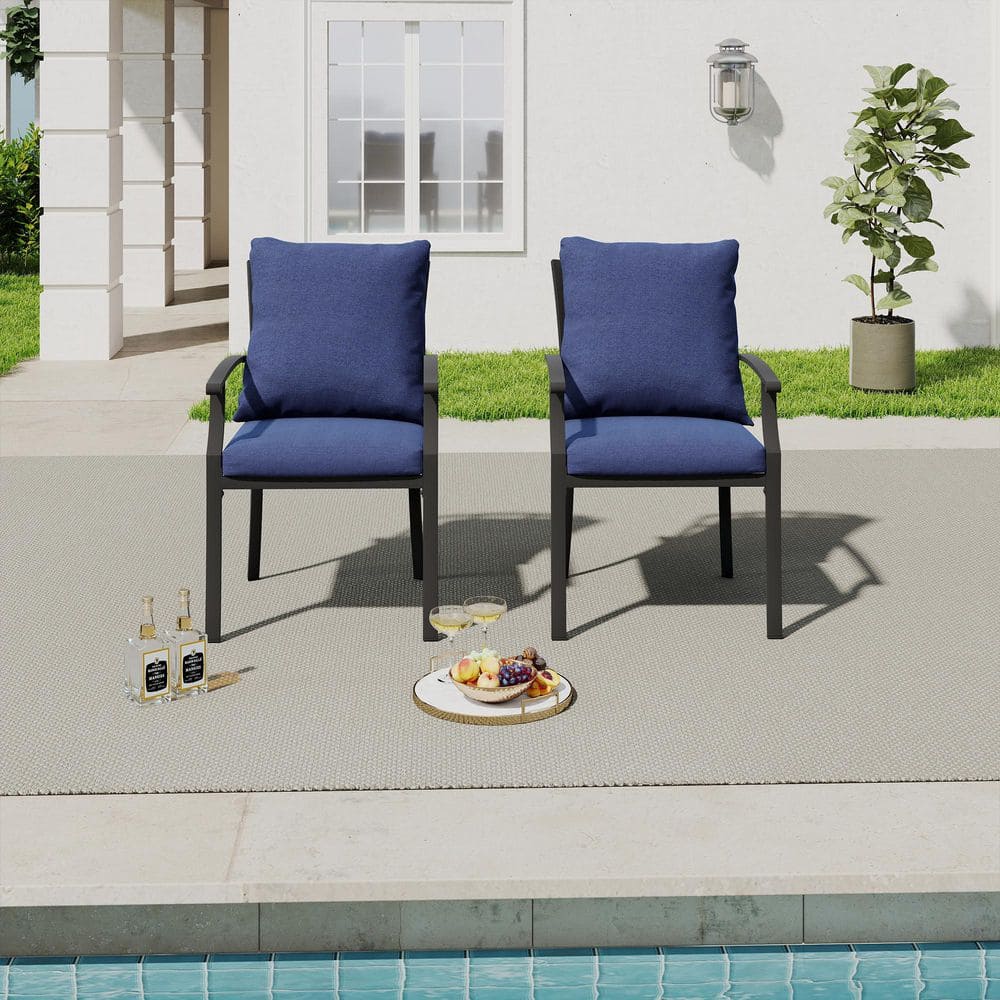 IvyGlow 2-Piece Metal Patio Dining Chairs with Blue Cushions price history on PriceWatchPro