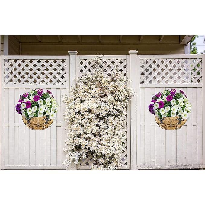 Black Metal Wall Hanging Plant Baskets with Coco Liners, 2 Pack