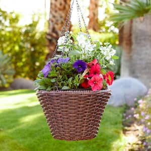 Cambridge 12 in. Dia x 8 in. H Brown Resin Wicker Hanging Planter with Liner
