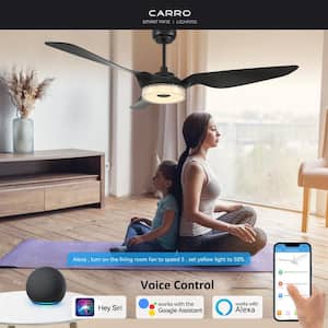 Finley 60 in. Dimmable LED Indoor Black Smart Ceiling Fan with Light and Remote, Works with Alexa and Google Home