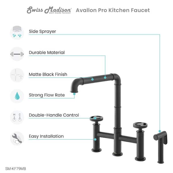 Avallon Pro 2-Handle Standard Kitchen Faucet with Side Sprayer in Matte Black