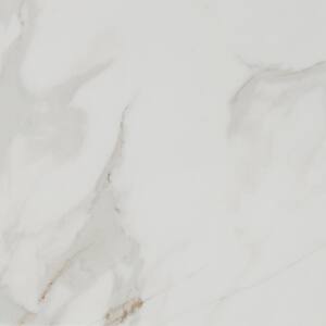 Take Home Tile Sample - Carrara 24 in. x 24 in. Polished Porcelain Floor and Wall Tile - 4 in. x 4 in