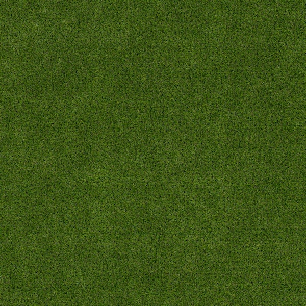 Emerald Green 6 ft. x 8 ft. Green Artificial Grass Turf Runner Rug