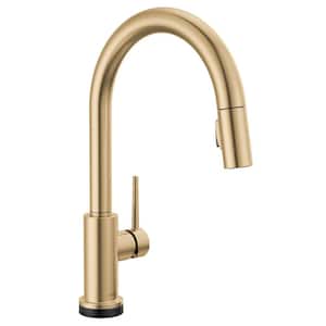 Trinsic VoiceIQ Touch2O with Touchless Technology Single Handle Pull Down Sprayer Kitchen Faucet in Champagne Bronze