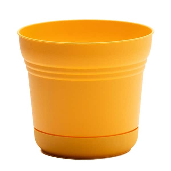 Bloem Saturn 7.25 in. Earthy Yellow Plastic Planter with Saucer