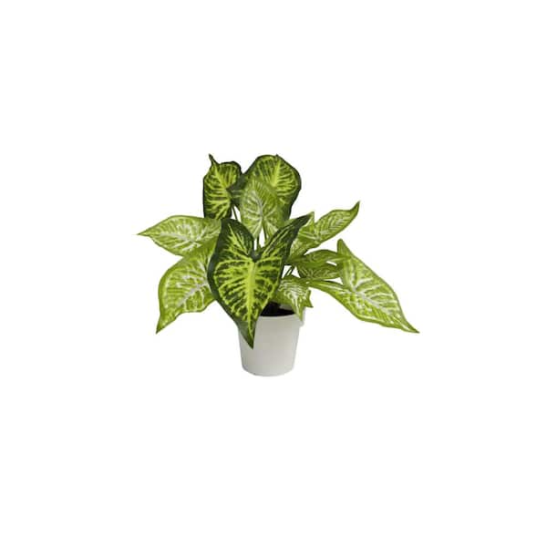 Algreen PRODUCTS 12  in. Artificial Caladium Plant (3.5 in. x 3 in.H pot; 10 in. x 12  in.H)