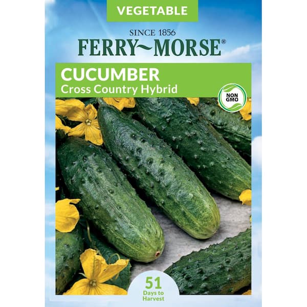 Ferry-Morse Cucumber Cross Country Hybrid Fruit Seed