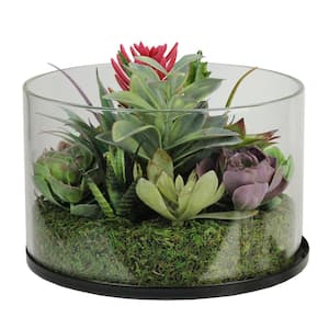 8 in. Artificial Mixed Succulent Arrangement in Round Glass Jar