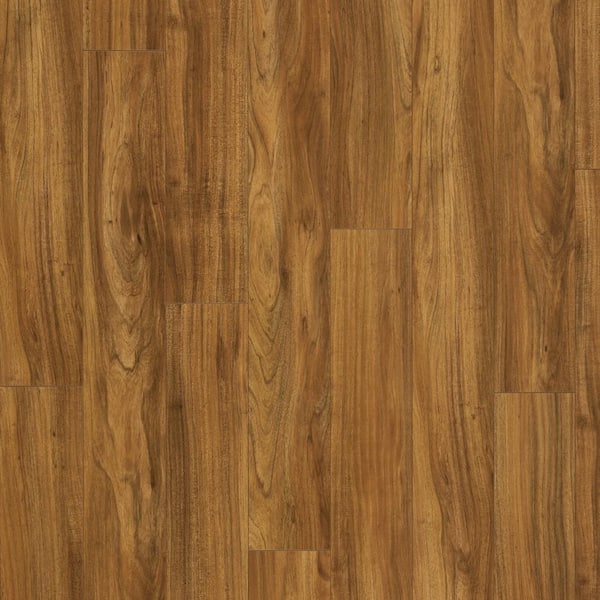 Pergo XP+ Catalina Acacia 10 mm T x 6.1 in. W Waterproof Laminate Wood Flooring (20.2 sqft/case)