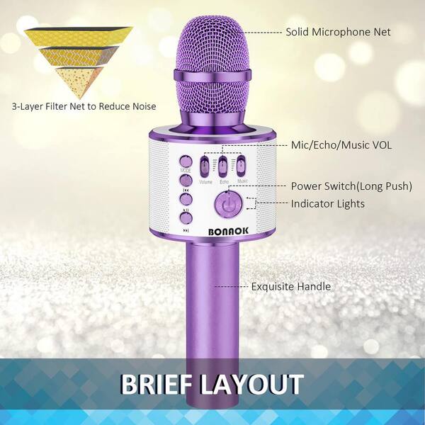 Bluetooth Rechargeable Kareoke Microphone 2024