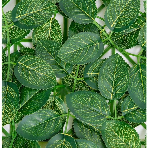 green leaves OrganicJustGreenBulkLooseLeafT