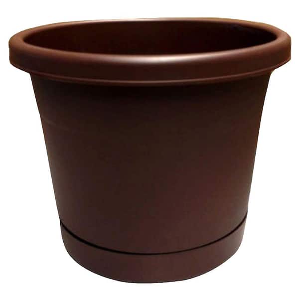 Unbranded Rolled Rim 6 in. Cocoa Plastic Planter