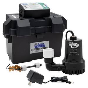 0.33 HP Special + Battery Backup Sump Pump System