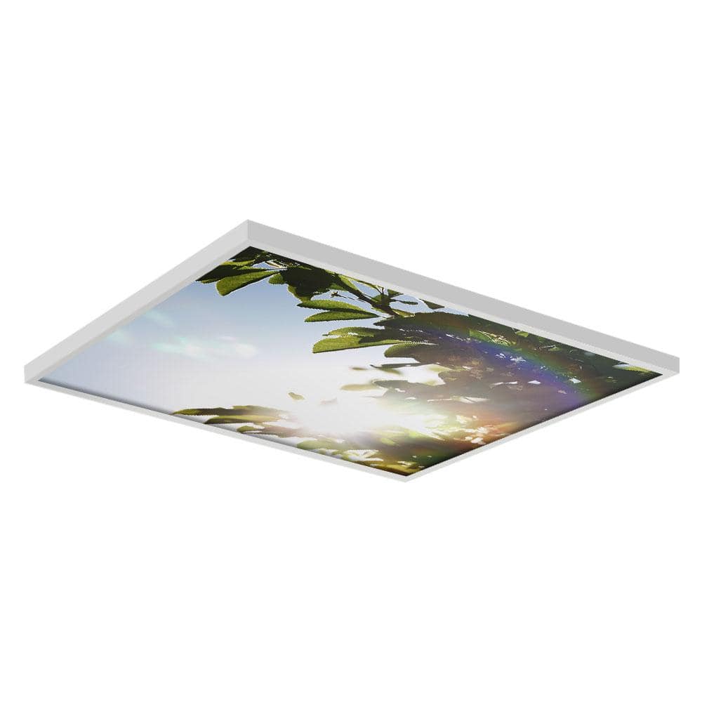2x2 Fluorescent Light Filters , Tree 005 price history on PriceWatchPro
