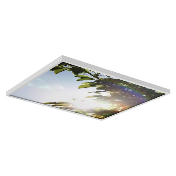 OCTO LIGHTS 2x2 Fluorescent Light Filters , Tree 005